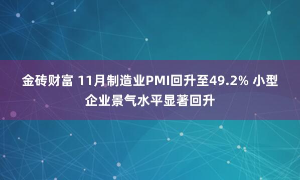 金砖财富 11月制造业PMI回升至49.2% 小型企业景气水平显著回升