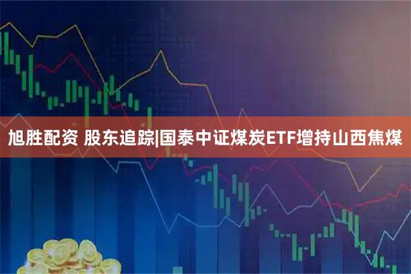 旭胜配资 股东追踪|国泰中证煤炭ETF增持山西焦煤