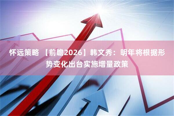怀远策略 【前瞻2026】韩文秀：明年将根据形势变化出台实施增量政策